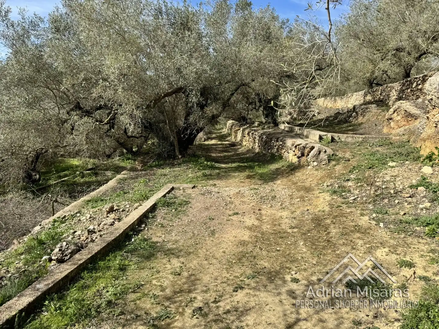 Terreno rústico en venta en L'Aldea, imagen 20