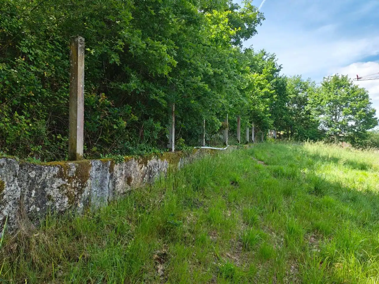Casa amb jardí en venda a O Pereiro de Aguiar, imagen 17