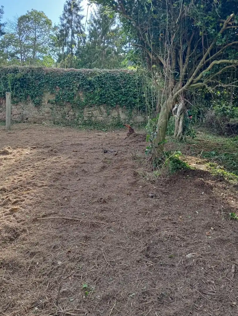 Terreni e lotti in vendita a Centro de Culleredo, imagen 26