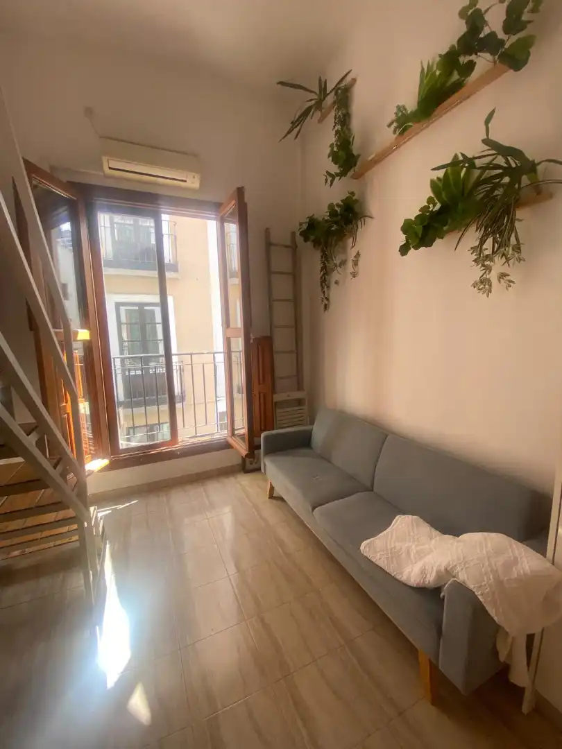 Apartament amb terrassa de lloguer a Calle Elvira 65