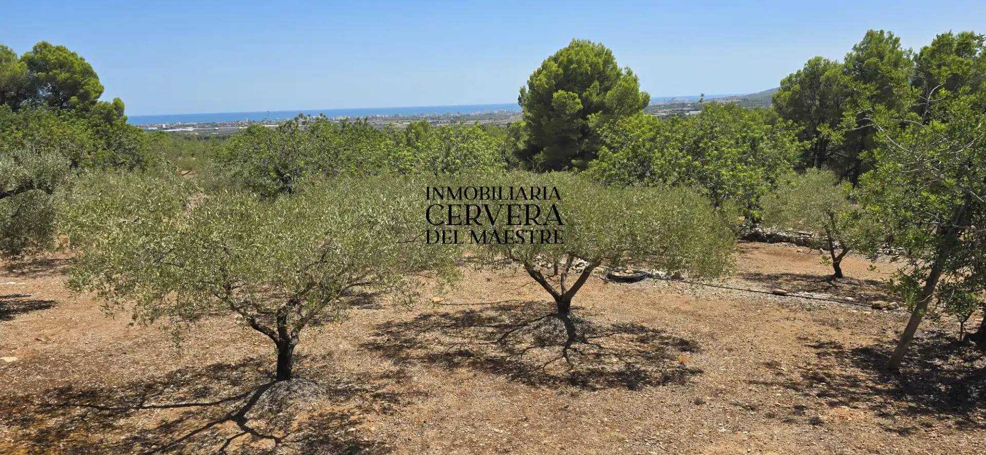 Rural land for sale in Vía Po Polígono 17 60, imagen 17