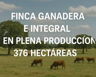 Garden of Residential for sale in Cáceres Capital