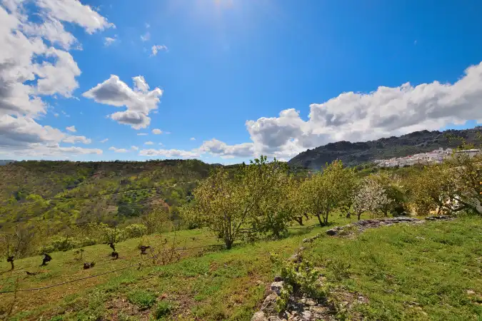 Country house zum Verkauf in Ronda mit Privatgarten