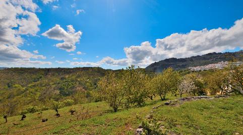 Photo 3 of Country house for sale in San Cristóbal, Málaga