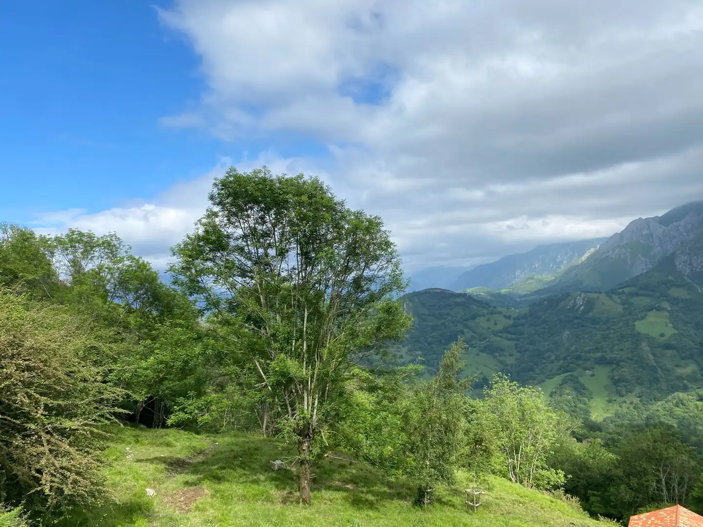 Land for sale in La Molina, Cabrales