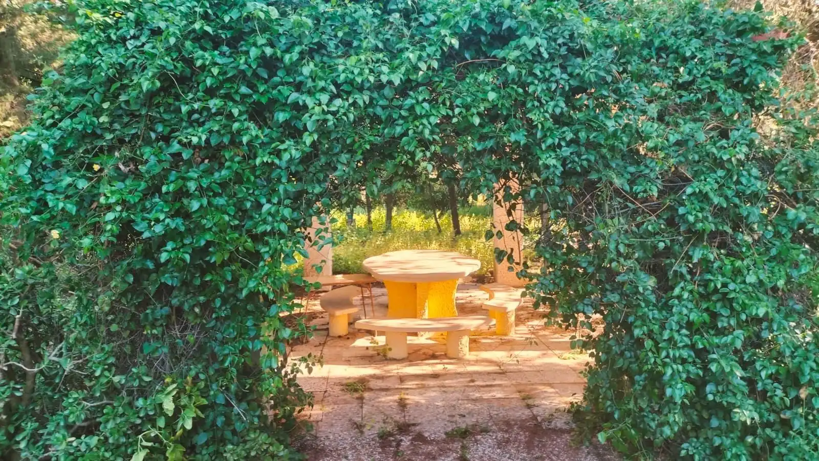 Casa con jardín en venta en Los Franceses – La Vega, imagen 17