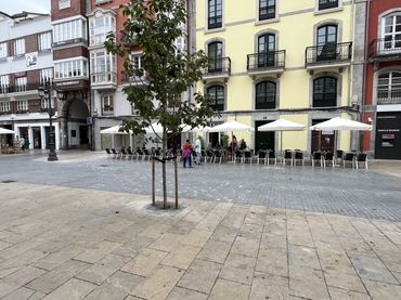 Business premises to rent in Avilés - CALLE LA CAMARA