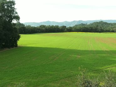 Maison rustique à vendre à Santa Cristina Poble
