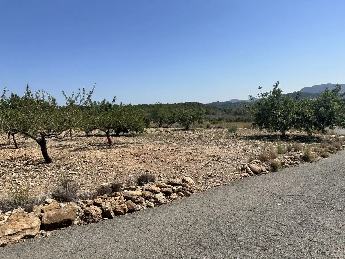 Terreno residencial en venta en Alfara de la Baronia, imagen 20
