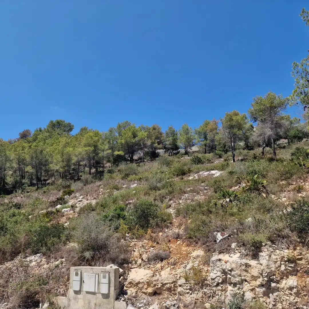 Terreno residencial en venta en Avenida de los Rosales 38, imagen 8