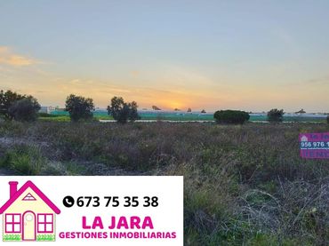 Terrain rustique à vendre à PARCELA EN MUNIVE/ CAMINO LA REYERTA