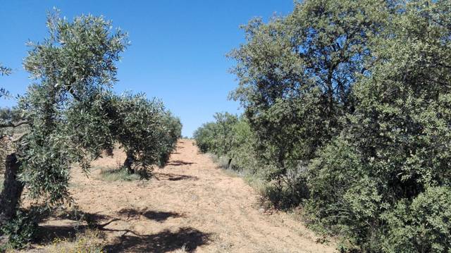 Terreno residencial en Venta en Don Álvaro