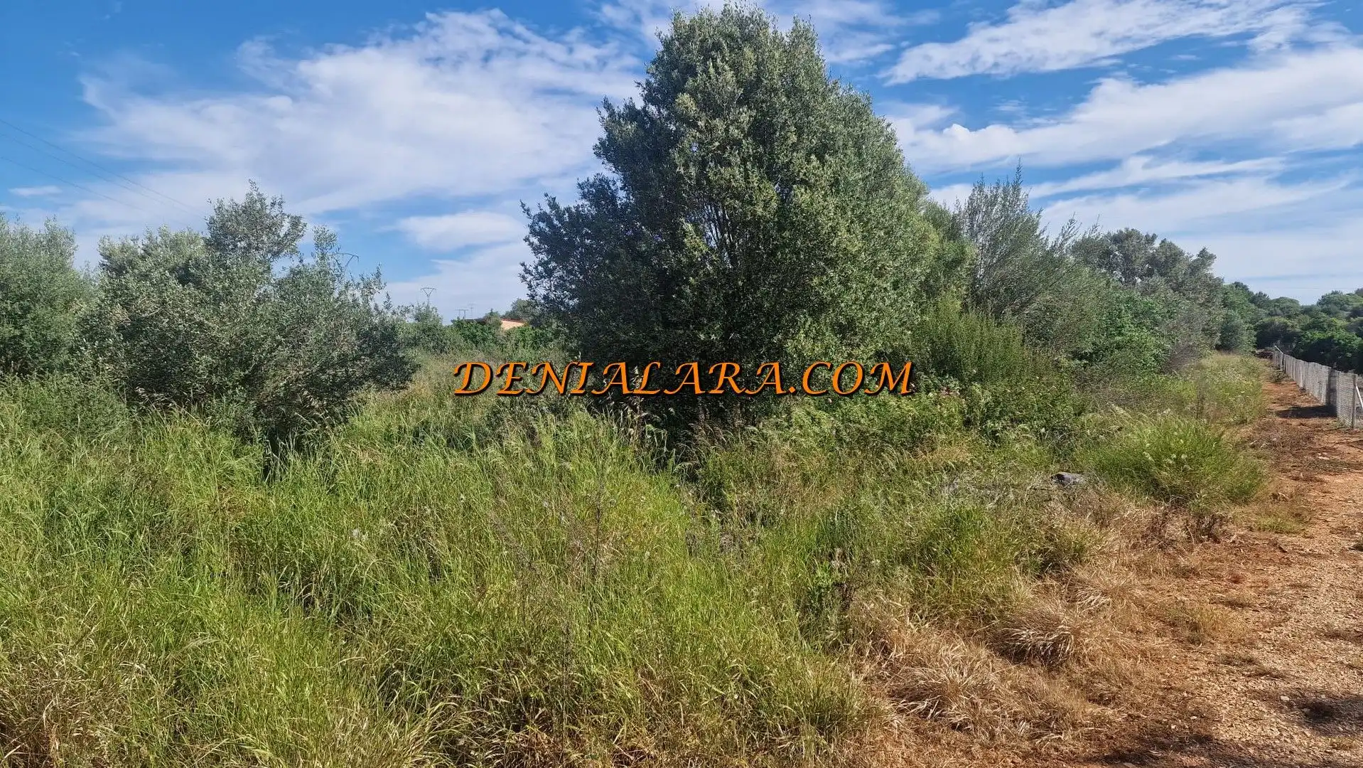 Terreny rústic en venda a La Xara - La Sella, imagen 2