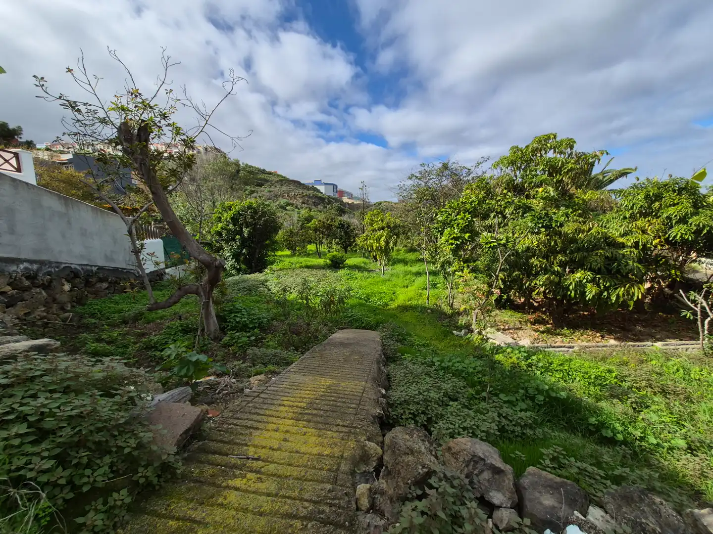 Rural land for sale in Camino la Cueva del Rey, imagen 34