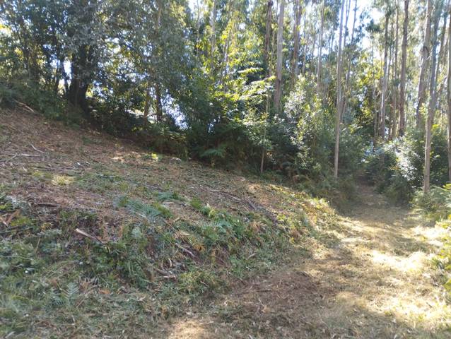 Terreno en Venta en Neda