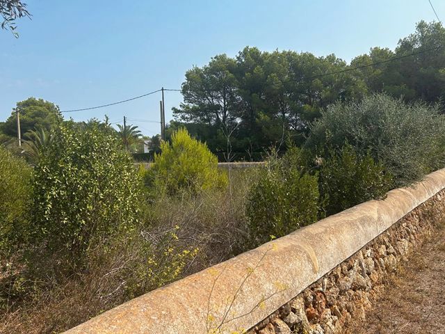 Terreny en venda en Ciutadella de Menorca