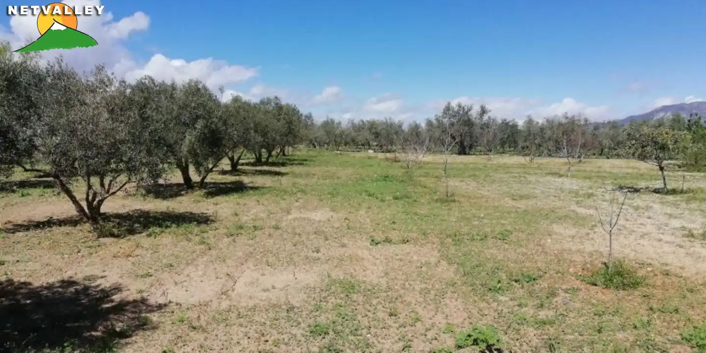 Nave industrial en venta en Nigüelas