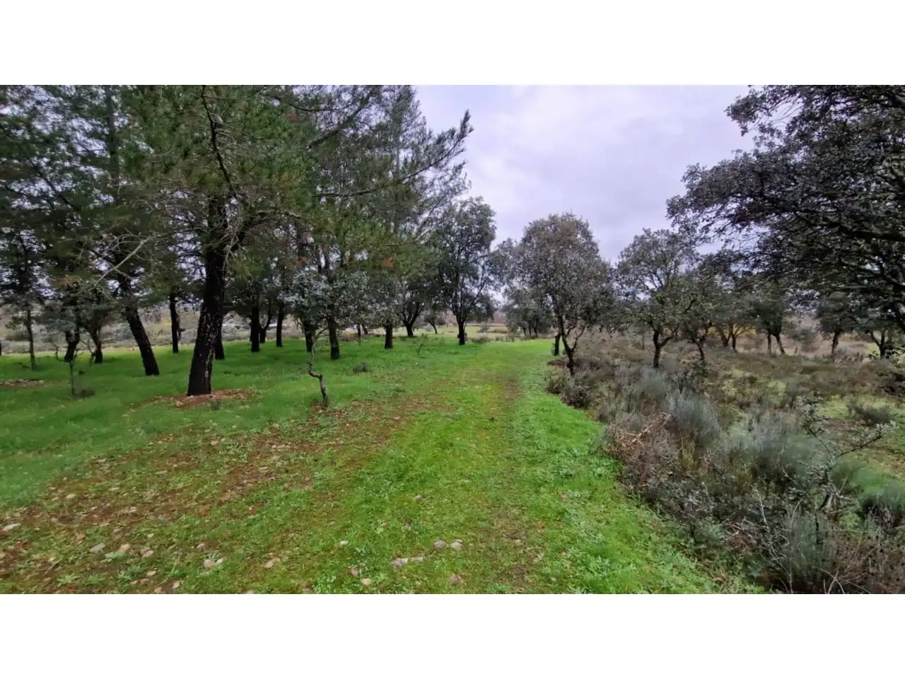 Terreno residenziale in vendita a Poligono 24 46, imagen 4