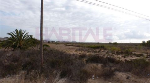 Photo 3 of Industrial land for sale in Street Mutxamel, Zona de - Mutxamel, Cami Sabateta, -1, La Huerta, Mutxamel