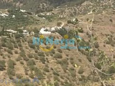 Lands and plots for sale in Canillas de Aceituno