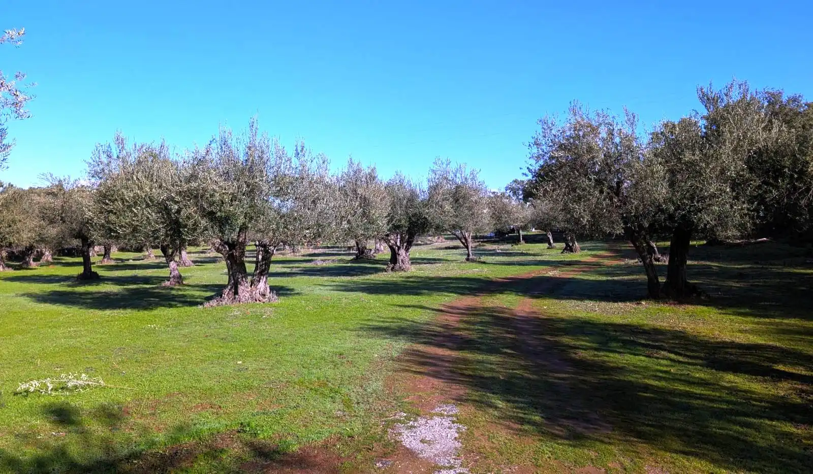 Jardín de Casa o chalet en venta en Puerto Moral con Jardín privado, Terraza y Trastero