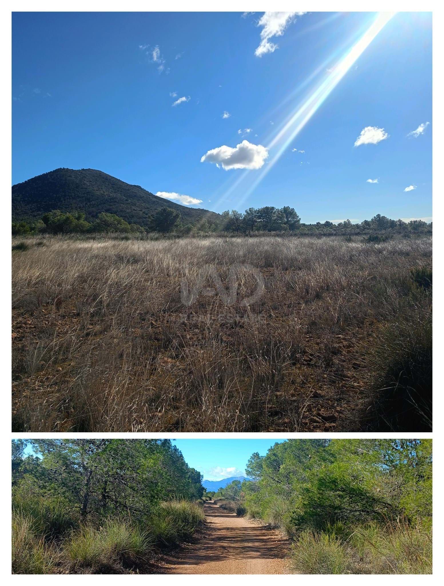 Land for sale in Lorca