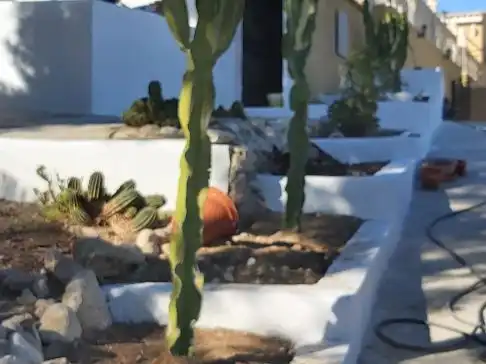 Jardín de Casa o chalet en venta en Molina de Segura con Parquet, Terraza y Trastero