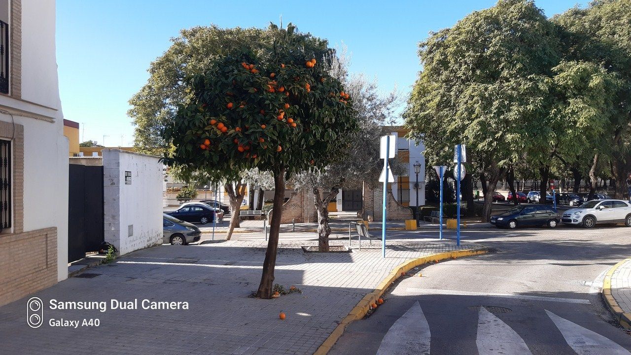 Residential for sale in Calle Zurraque, Casco Antiguo