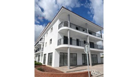 PISO DE 3 DORMITORIOS  ESTUDIO EN PB 2