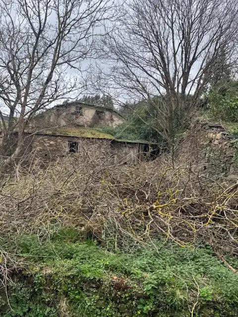 Finca rústica en venta en Castropol