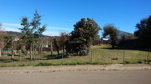 Terreny a mas llunés, immagine 2