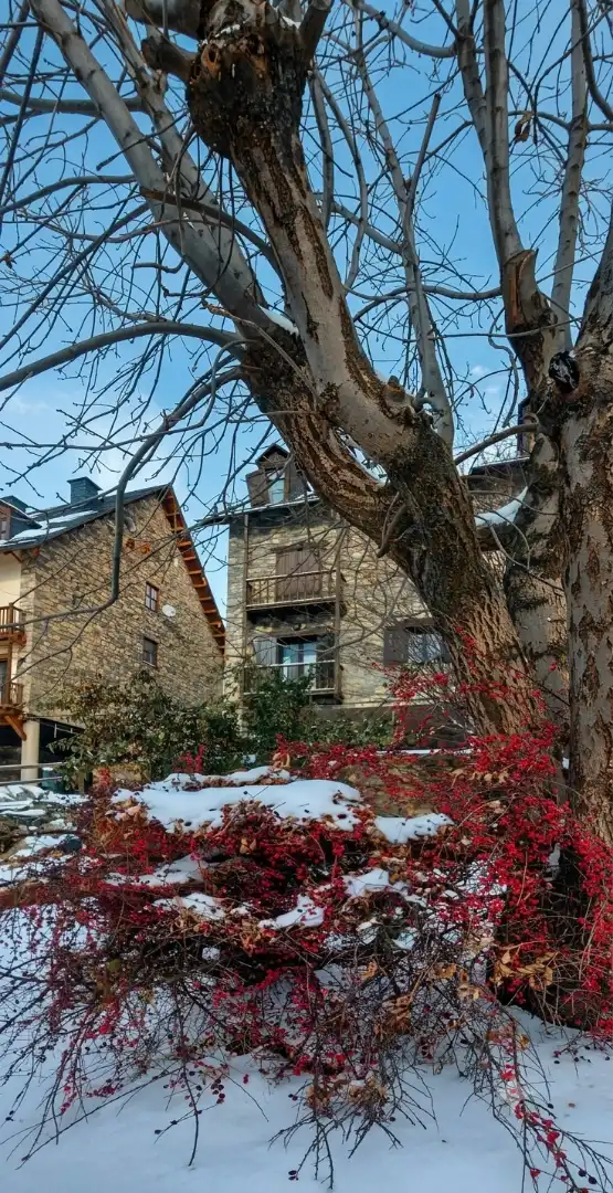 Mini appartamento con terrazza in vendita a La Vall de Boí, imagen 11
