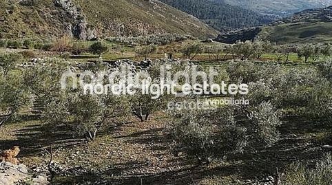 Foto 3 de Casa o chalet en venta en Alcaucín, Málaga