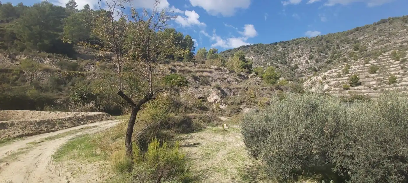 Terrenys i solars en venda a Relleu, imagen 17