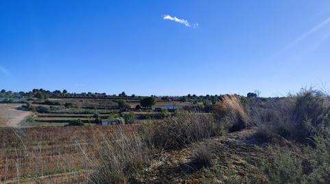 Foto 2 von Grundstücke zur Miete in N/a, Los Felipes - Corral de Carmelo, Chiva