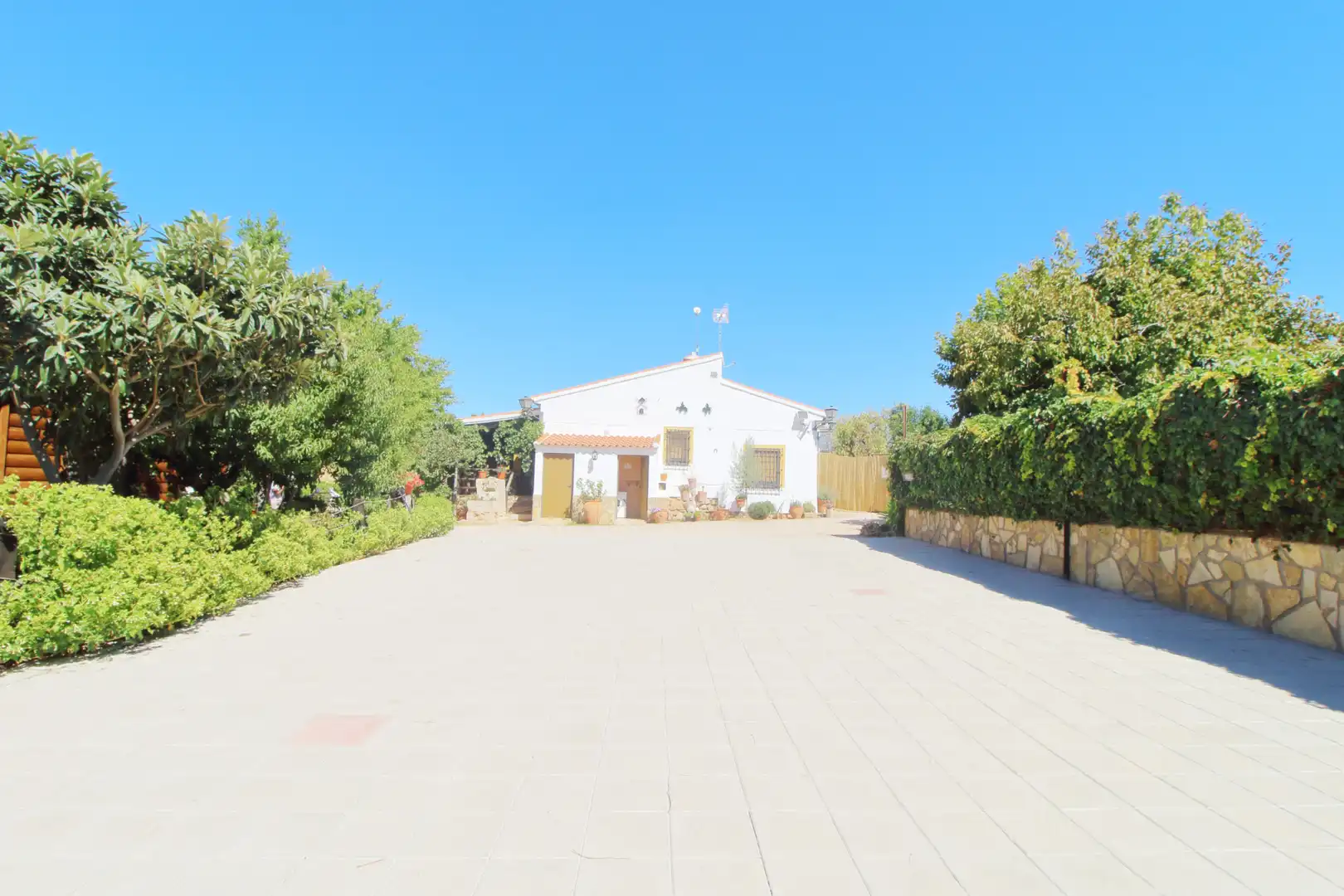 Inmuebles singulares con piscina en venta en Ossa de Montiel, imagen 40