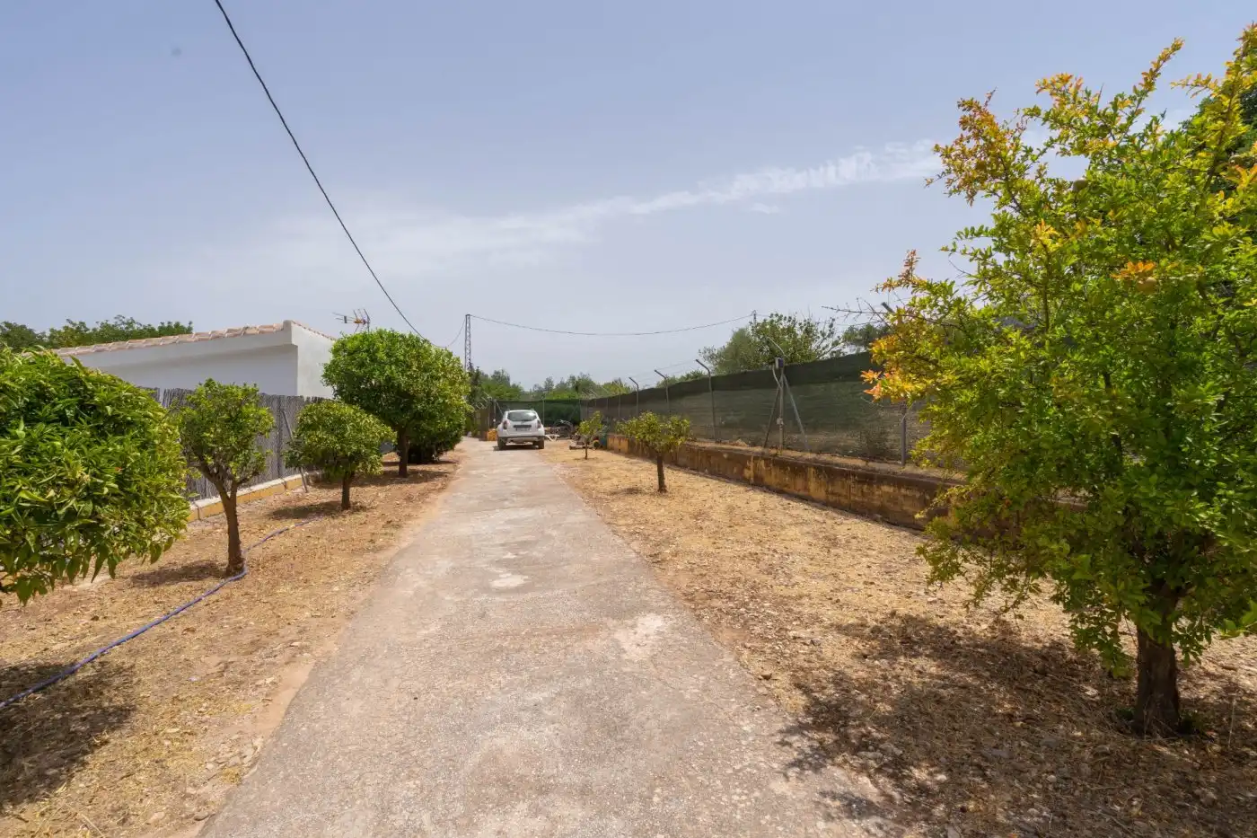 Villa mit Pool zur Miete in Centro, imagen 38