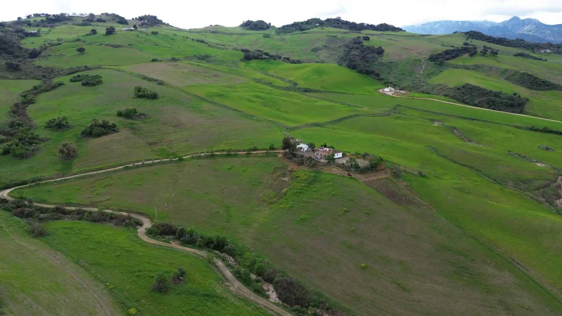 Terreno en venta en Montecorto