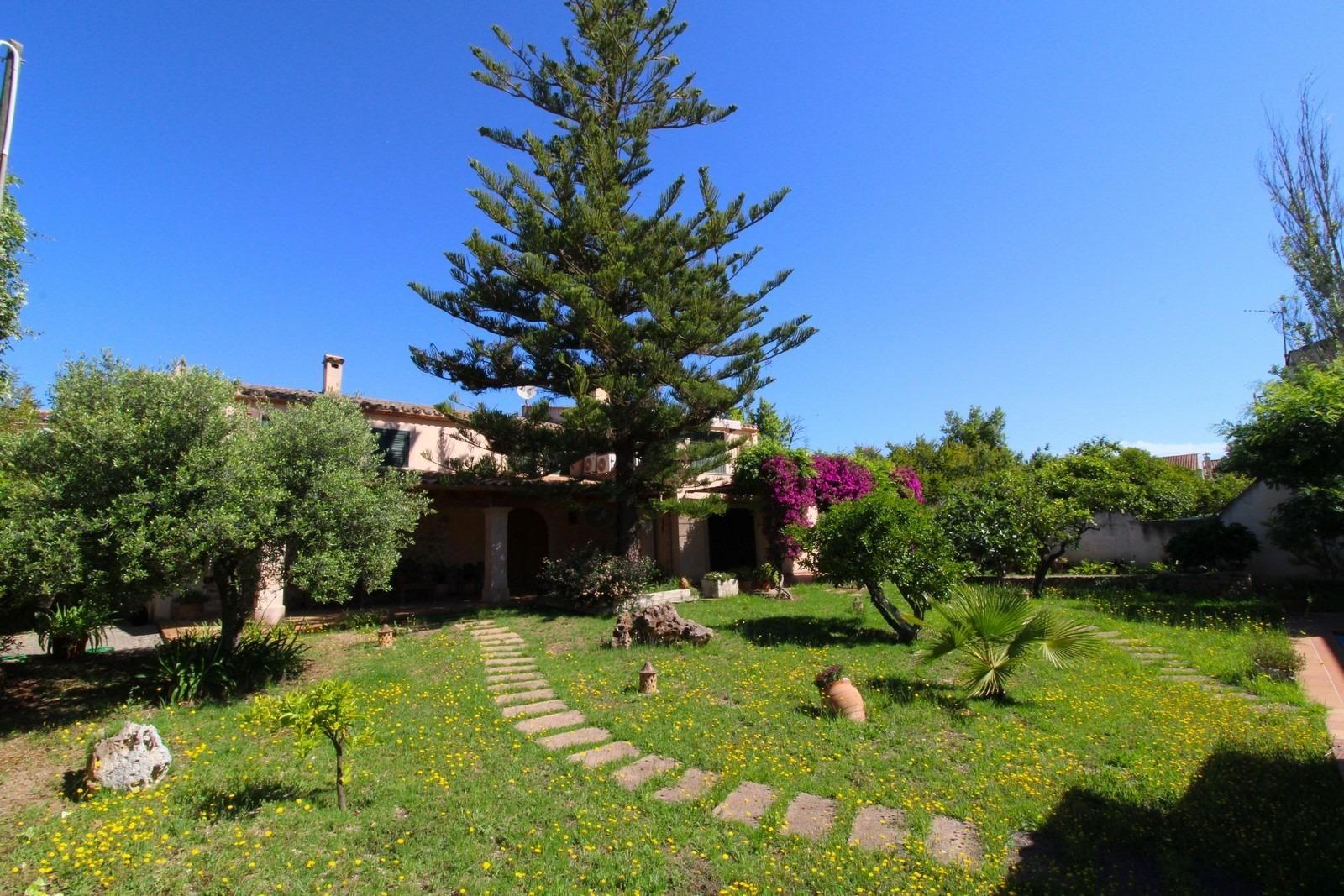Jardí de Casa o xalet en venda en Llubí amb Aire condicionat, Calefacció i Jardí privat