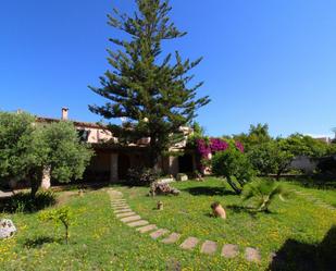 Jardí de Casa o xalet en venda en Llubí amb Aire condicionat, Calefacció i Jardí privat