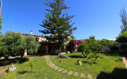 Jardí de Casa o xalet en venda en Llubí amb Aire condicionat, Calefacció i Jardí privat
