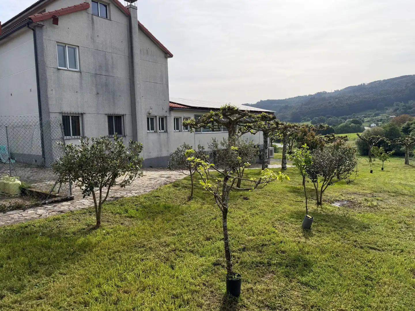 Vista exterior de Edificio en venta en Silleda