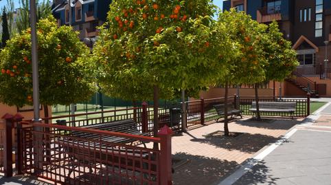 Photo 5 of Flat for rent in Camino de los Neveros - Serrallo, Granada Capital