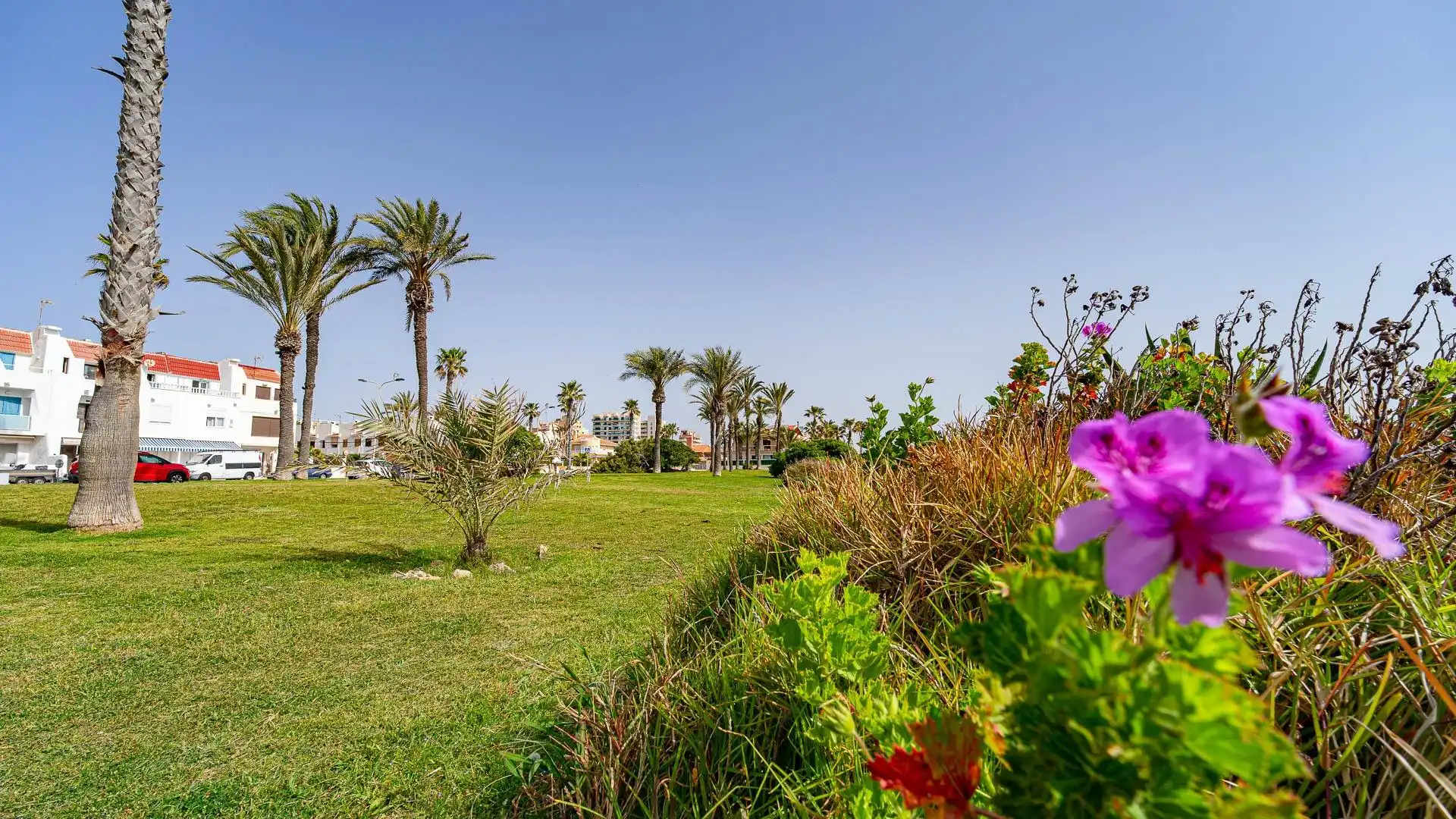 Garten von Erdgeschoss zum Verkauf in Torrevieja mit Terrasse und Möbliert