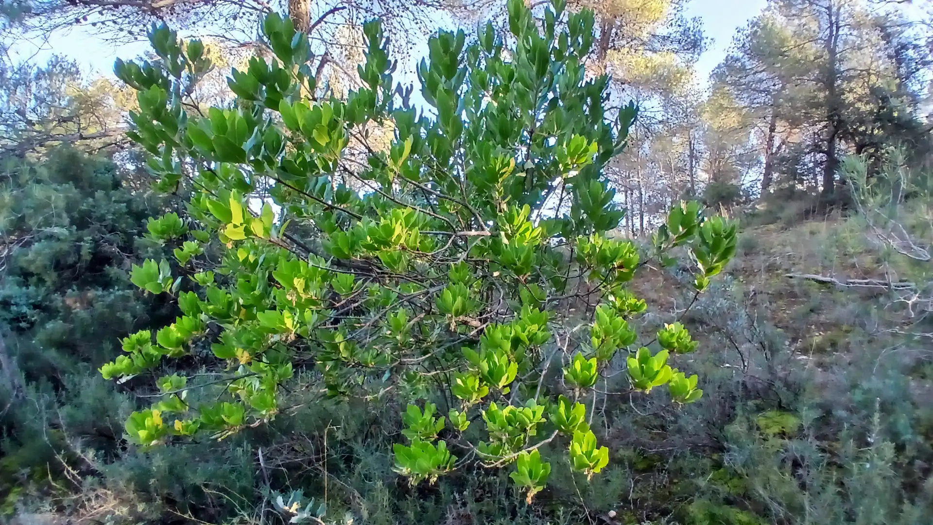 Terreno rustico in vendita a N/A, imagen 12