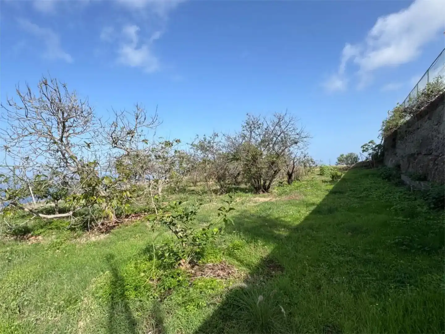 Finca rústica en venda en San Juan de la Rambla