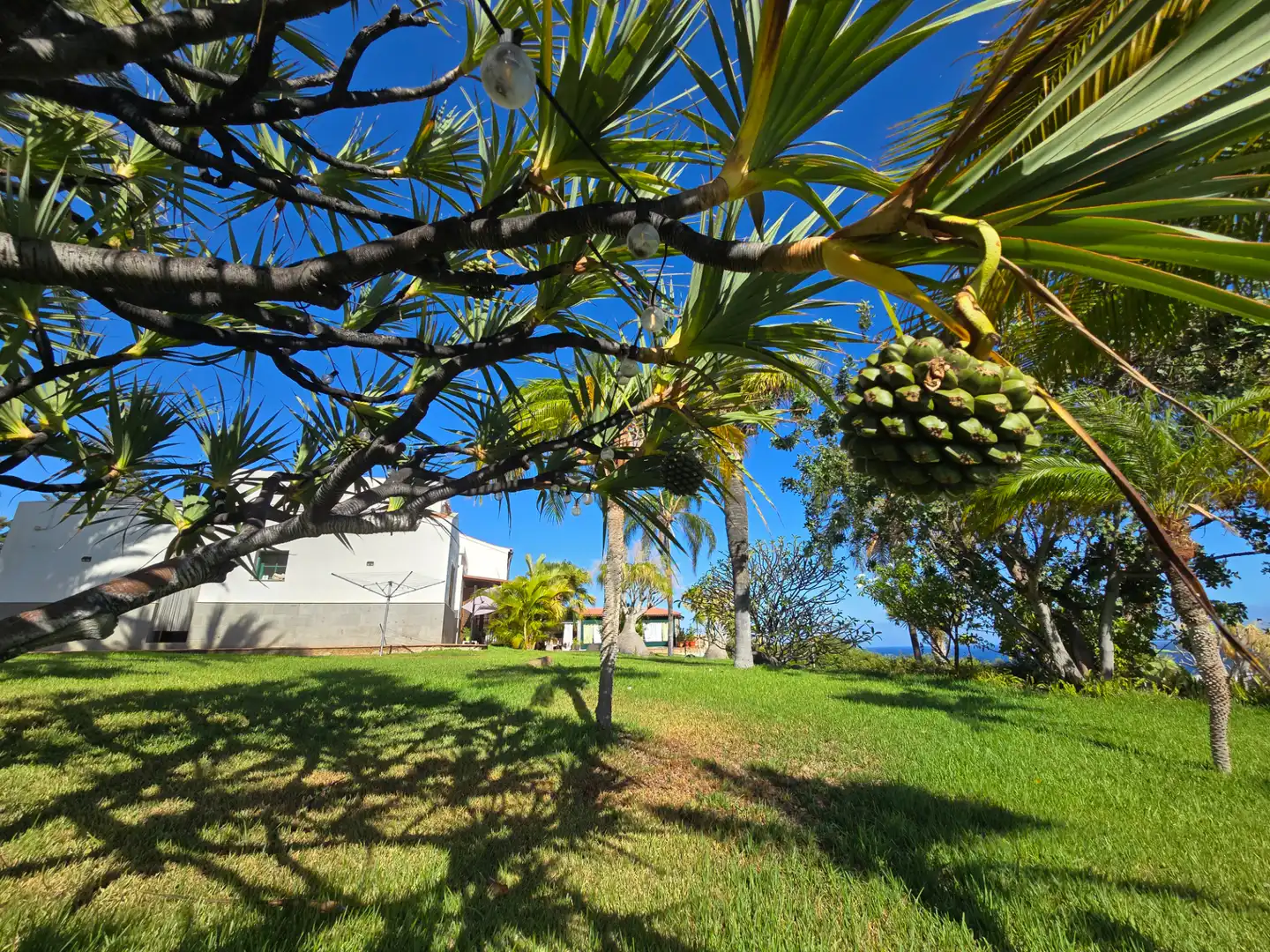 Villa avec terrasse à vendre à Calle Centauro, imagen 73