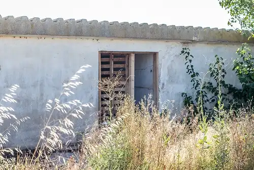 Terreno rustico in vendita a Lg Paraje El Recuenco, imagen 8