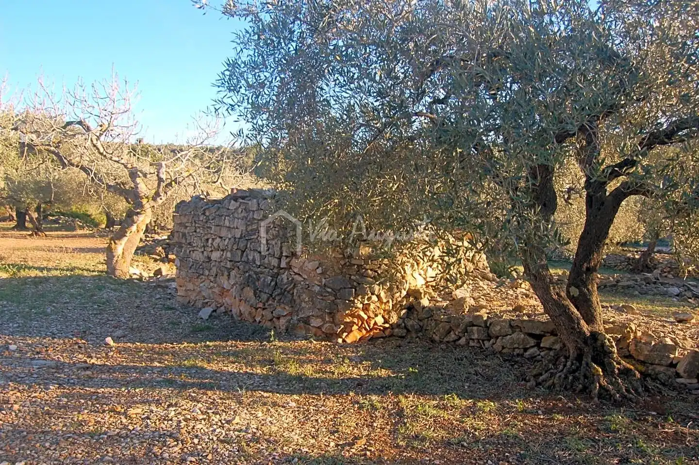 Terreno rustico in vendita a Burgà, imagen 16