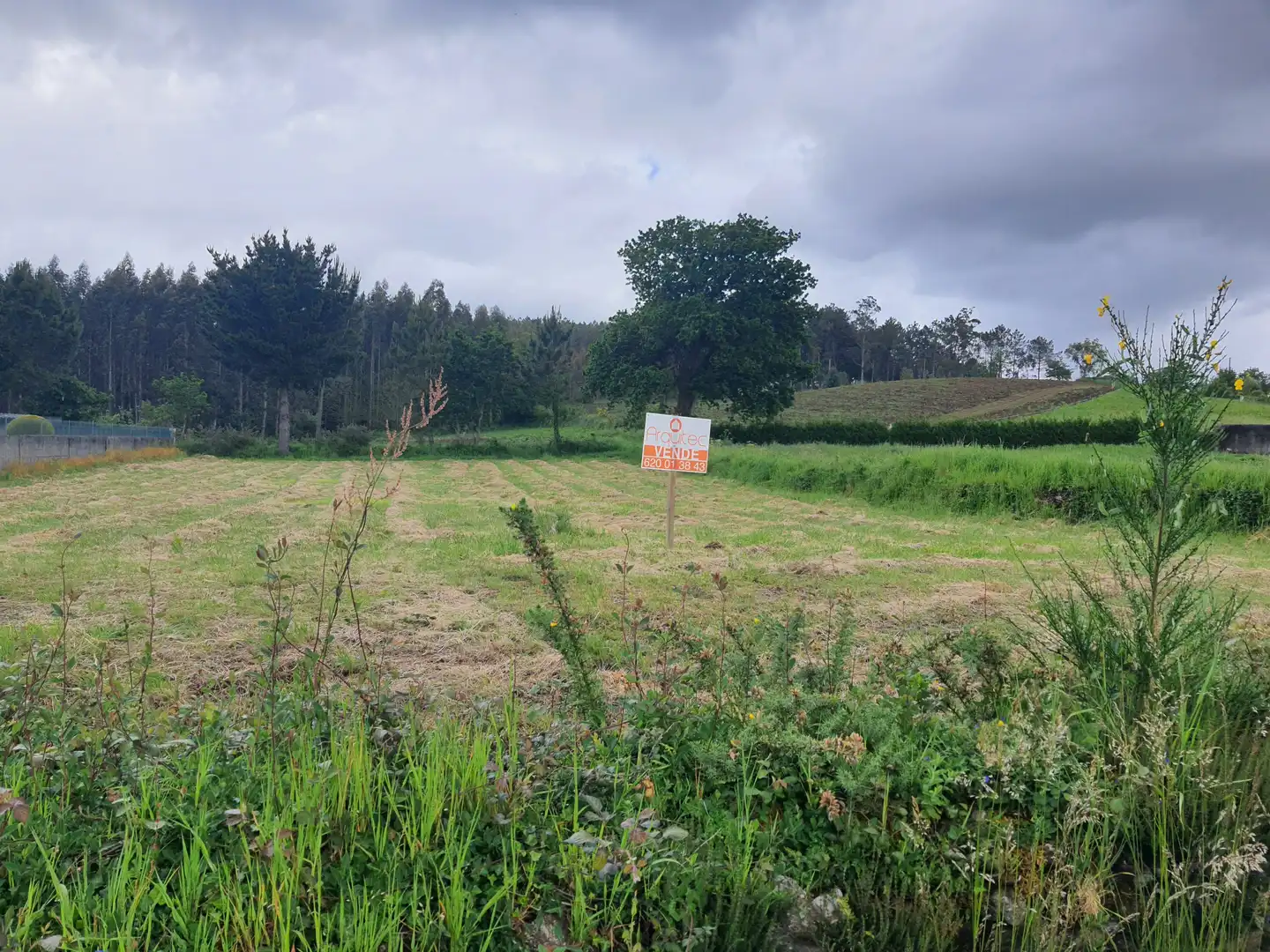 Terreno residencial en venta en Canelas 7, imagen 2